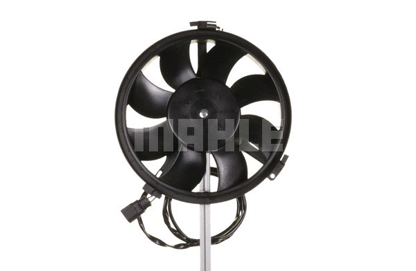 Fan, engine cooling