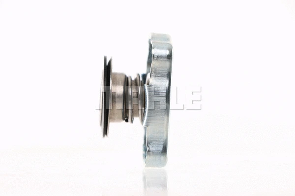Cap, coolant tank