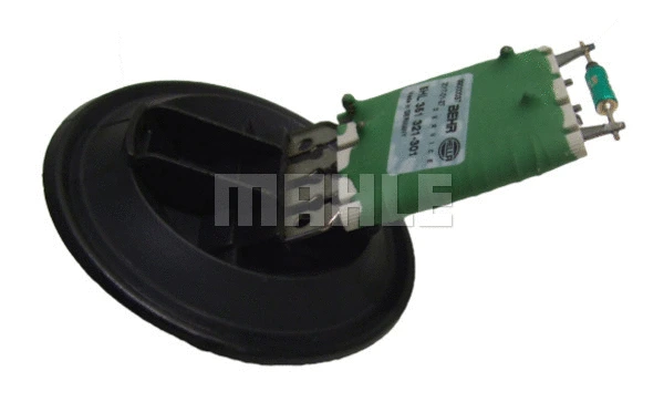 Resistor, interior blower