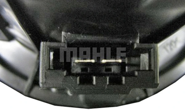Interior Blower