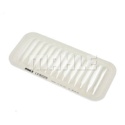 Air Filter (LX 5025)