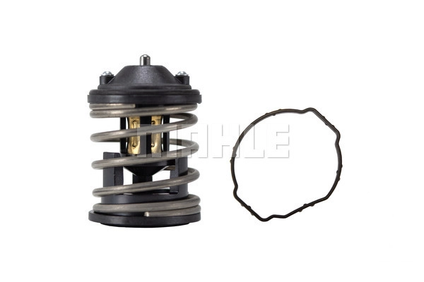 Thermostat, coolant (TX 163 87D)