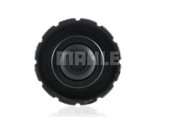 Cap, coolant tank (CRB 28 000S)