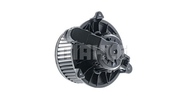 Interior Blower