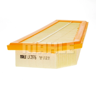 Air Filter (LX 3976)