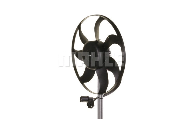Fan, engine cooling