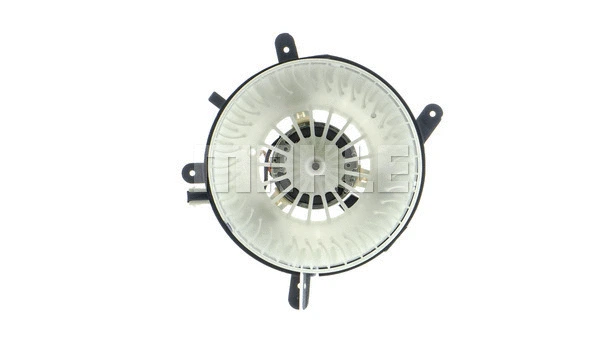 Interior Blower