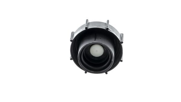 Cap, coolant tank