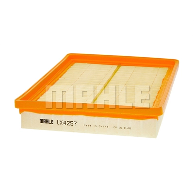 Air Filter (LX 4257)