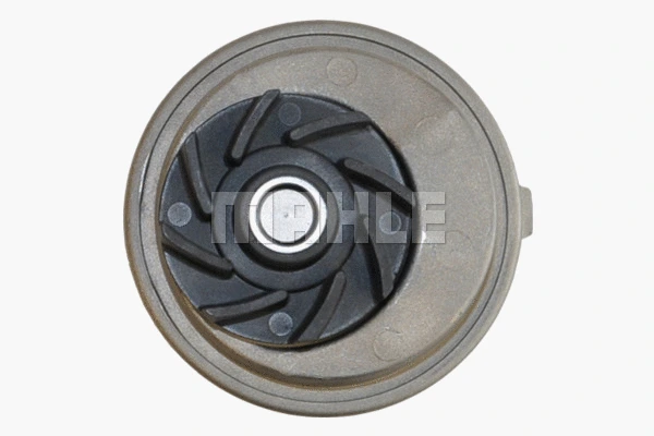 Water Pump, engine cooling (CP 12 000P)