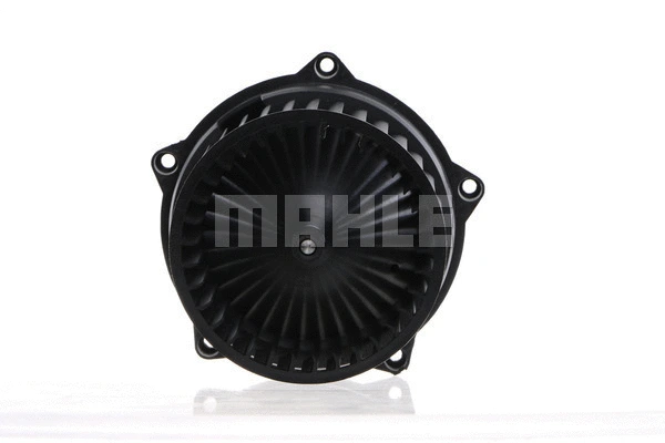 Interior Blower