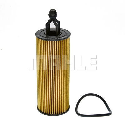 Oil Filter (OX 1228D)