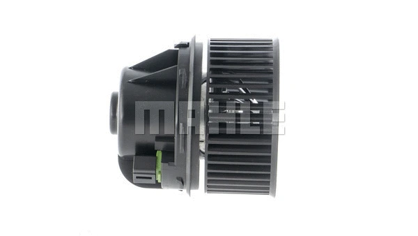 Interior Blower