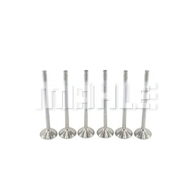 Exhaust Valve (VE0480245)