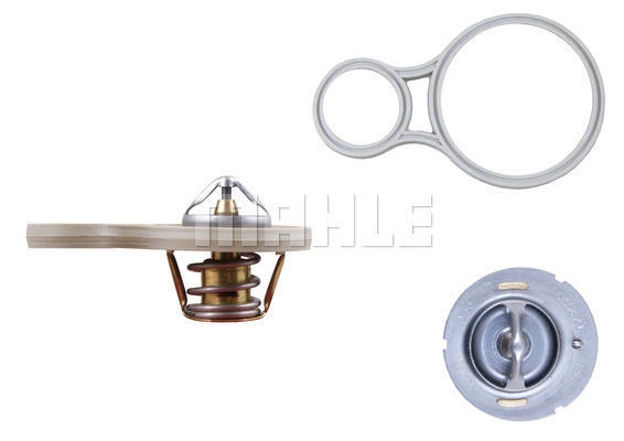 Thermostat, coolant (TX 255 91)