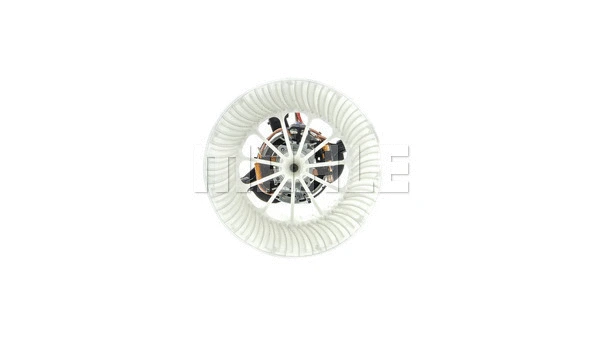 Interior Blower