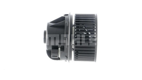 Interior Blower