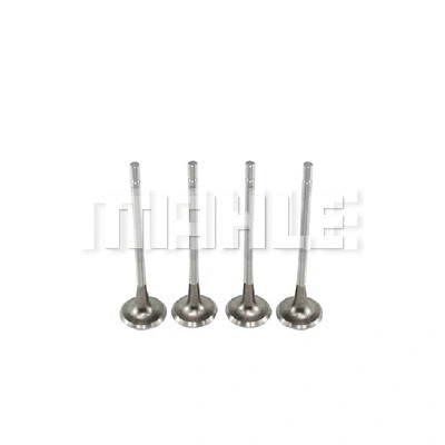 Exhaust Valve (VE0180125)