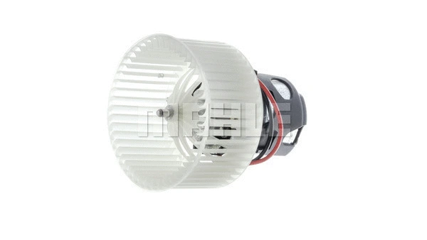 Interior Blower