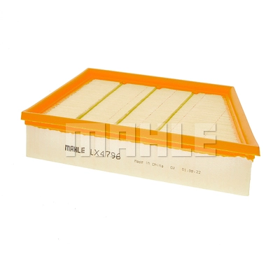 Air Filter (LX 4796)