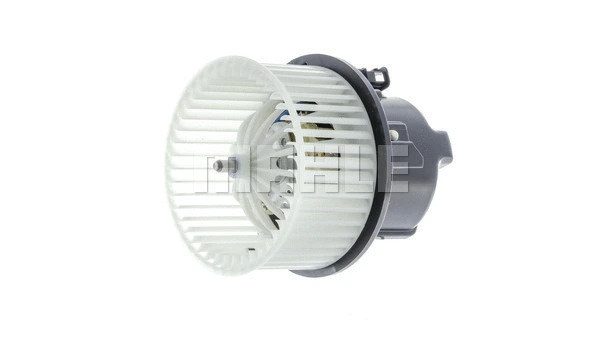 Interior Blower