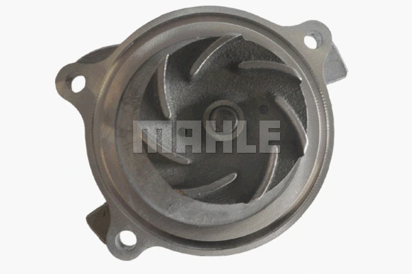 Water Pump, engine cooling (CP 31 000P)