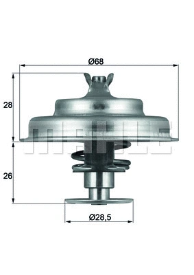 Thermostat, coolant (TX 75 80D)