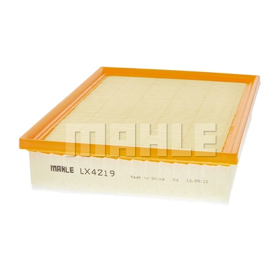 Air Filter (LX 4219)