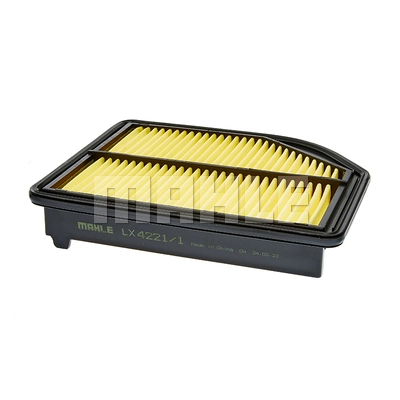 Air Filter (LX 4221/1)