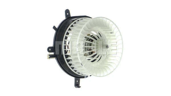 Interior Blower