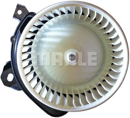 Interior Blower