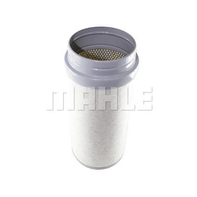 Secondary Air Filter