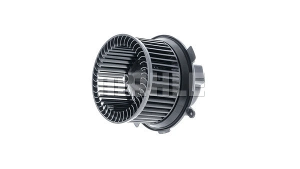 Interior Blower