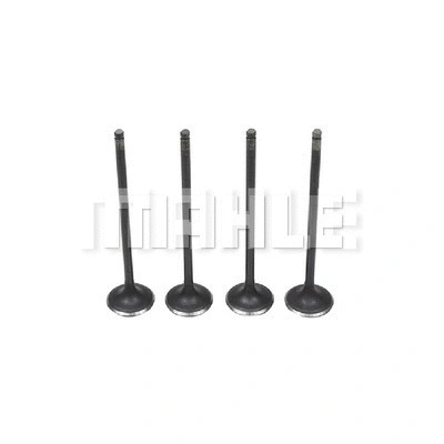 Intake Valve (VA0510209)