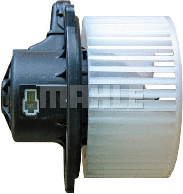 Interior Blower