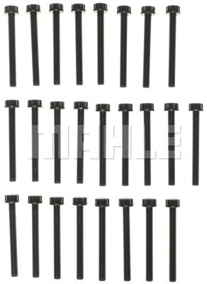 Cylinder Head Bolt Set (GS33646)