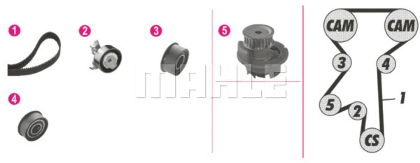 Water Pump & Timing Belt Kit (CPK 62 000P)
