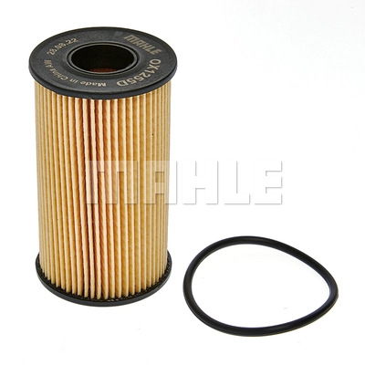 Oil Filter (OX 1255D)
