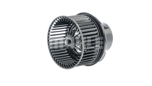 Interior Blower