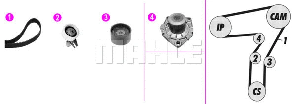 Water Pump & Timing Belt Kit (CPK 100 000P)