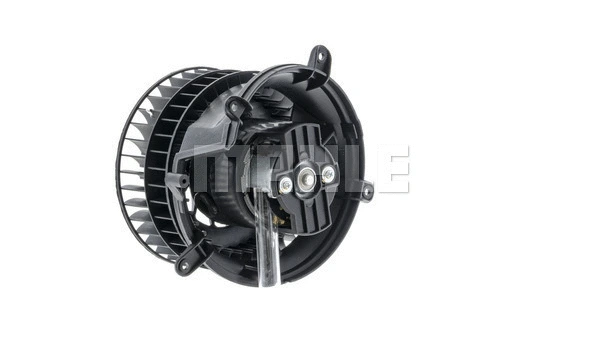Interior Blower