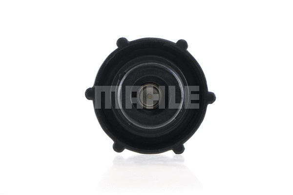 Cap, coolant tank (CRB 32 000S)