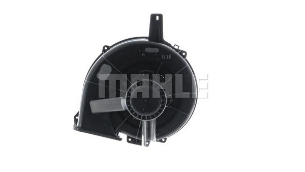 Interior Blower