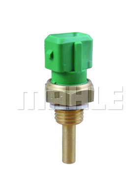 Sensor, coolant temperature (TSE 21)