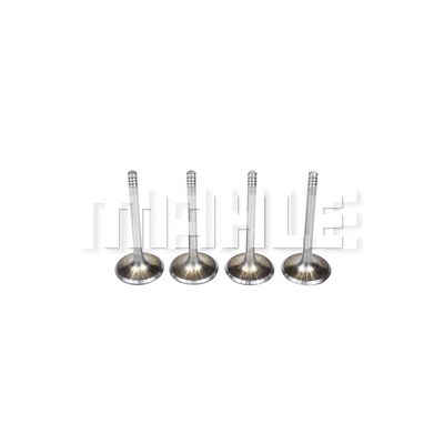 Intake Valve (VA0700089)