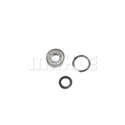 Drive Bearing, alternator (MSX 305)