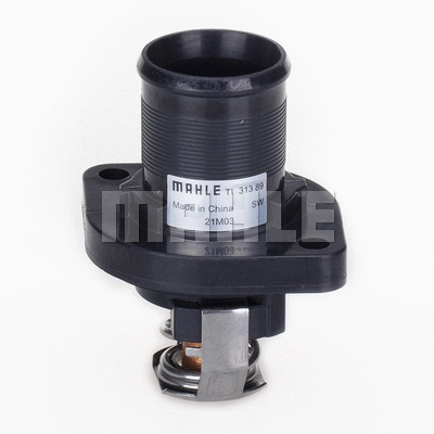 Thermostat, coolant (TI 313 89)