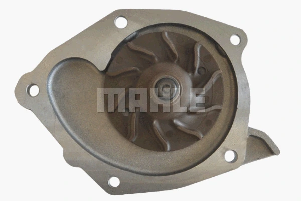 Water Pump, engine cooling (CP 53 000P)