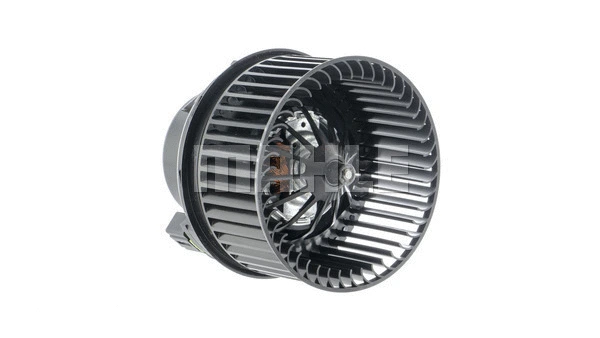 Interior Blower