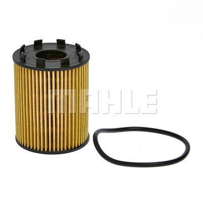 Oil Filter (OX 1207D)